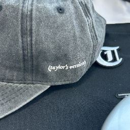Reputation Inspired Embroidery Gray Cap